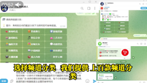 Telegram 广告联盟双端机器人：广告主端与频道主端完整视频教程 